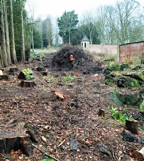 Clearance work in the Walled Garden, Ayton Castle