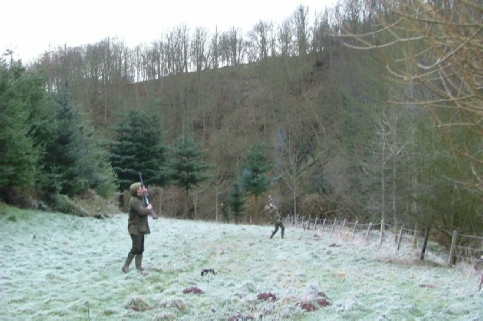 Ayton Castle shoot